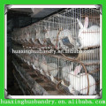 Long Use Life Rabbit Layer Cage(Zhumadian manufacturer)